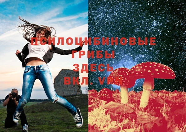 jwh Зеленокумск