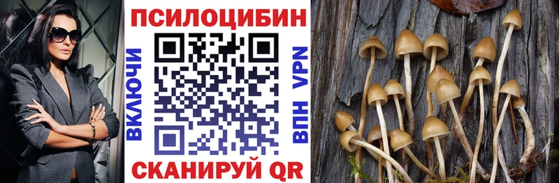 даркнет сайт  Медногорск  kraken ССЫЛКА  Галлюциногенные грибы Psilocybe 