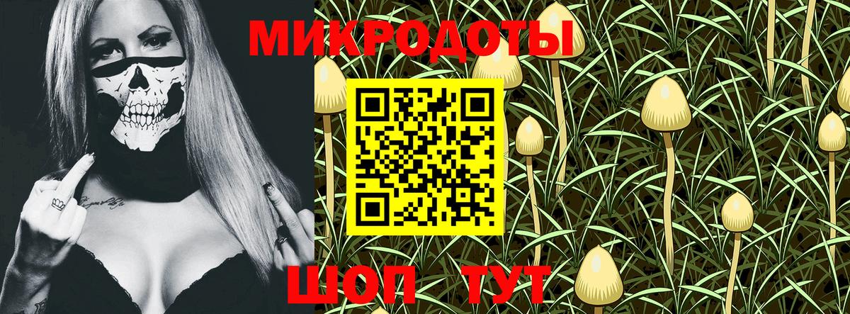 Псилоцибиновые грибы ЛСД Медногорск